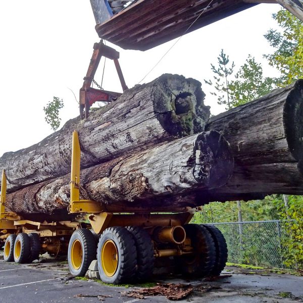 森林整備業務入札参加資格審査申請(指名願)